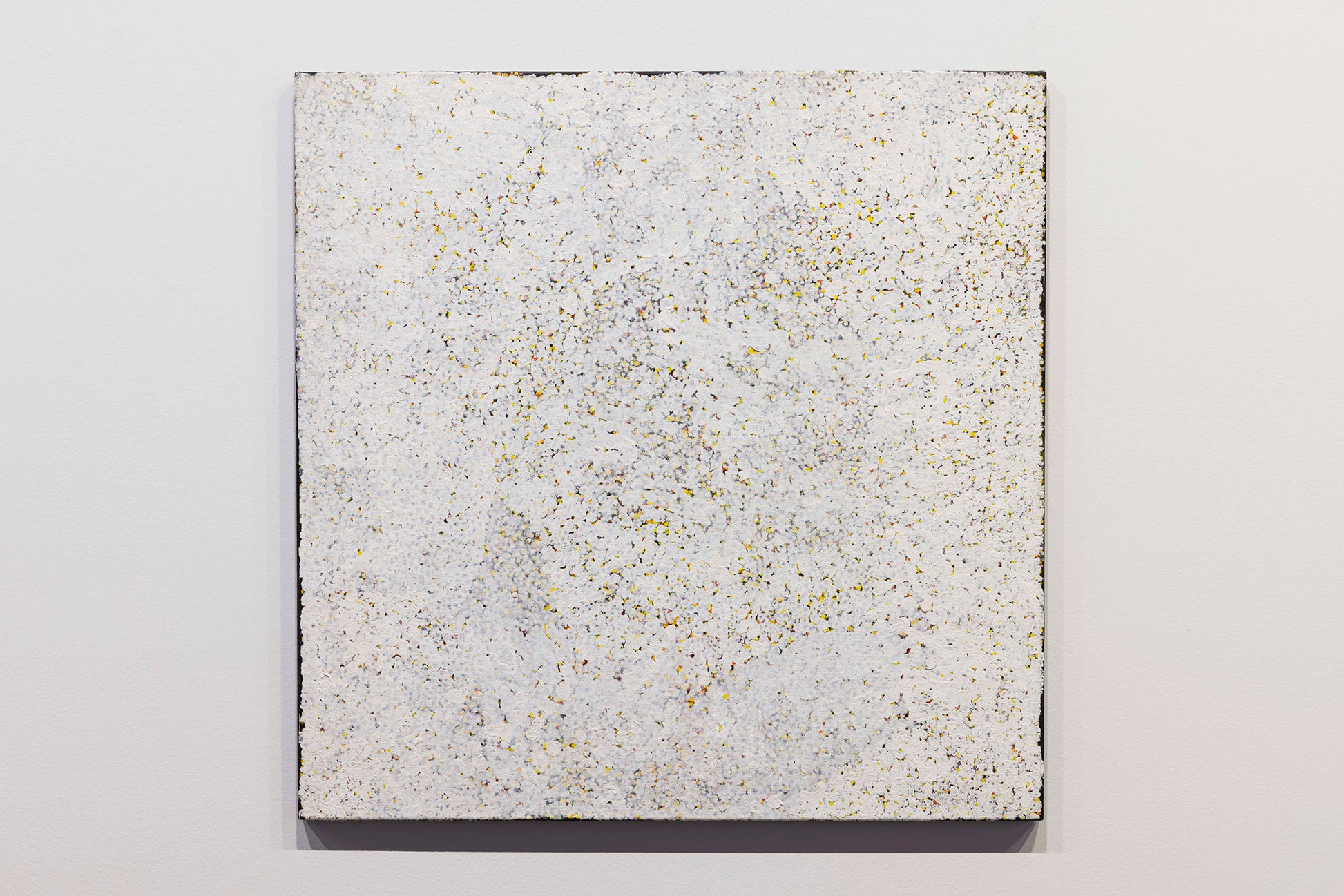 Polly Ngale 'Bush Plum Dreaming'