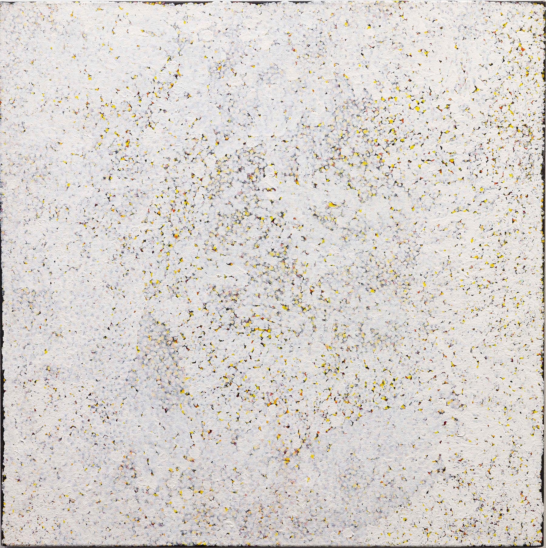 Polly Ngale 'Bush Plum Dreaming'