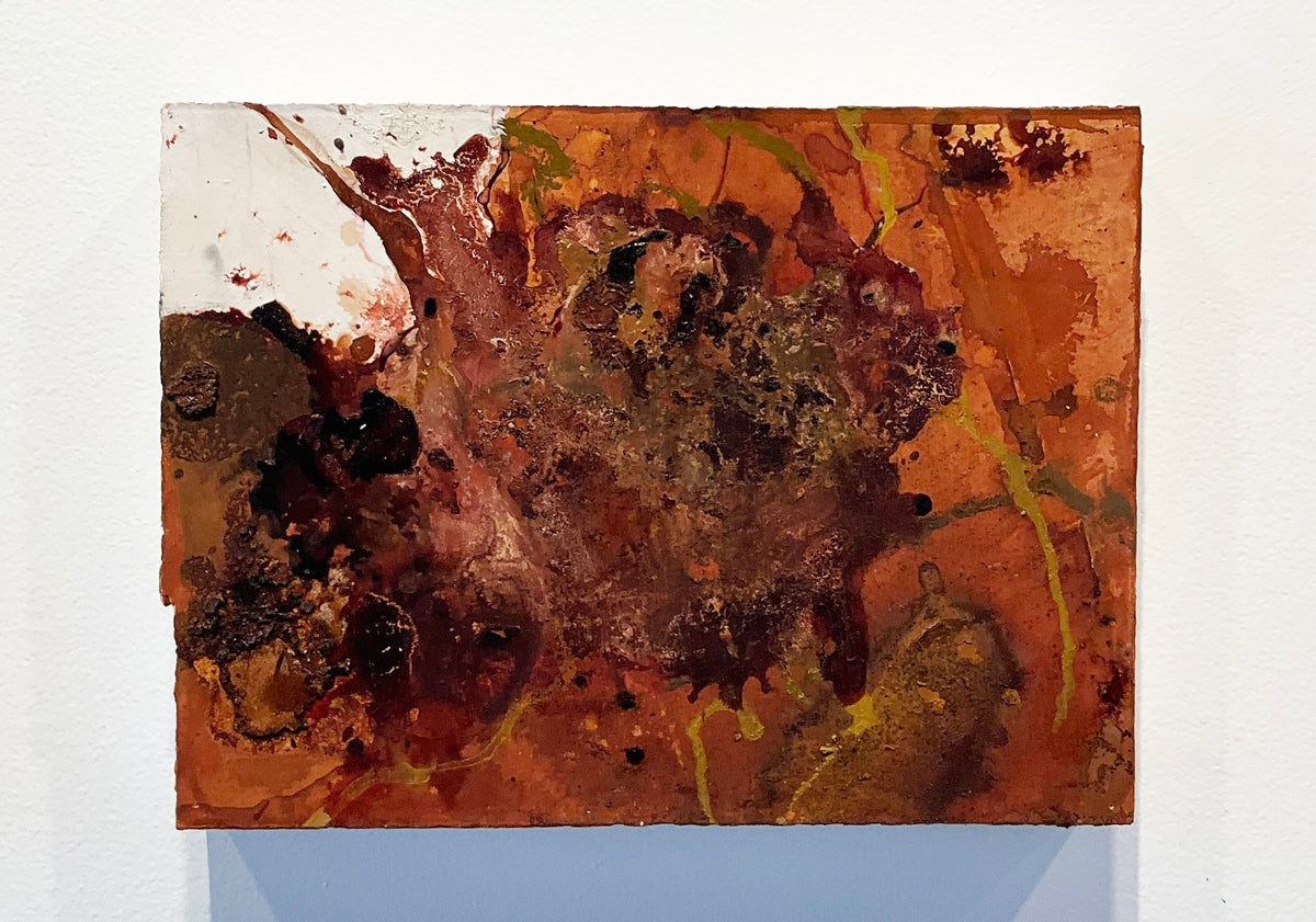Sophie Cape 'Skin of Wild Beast'