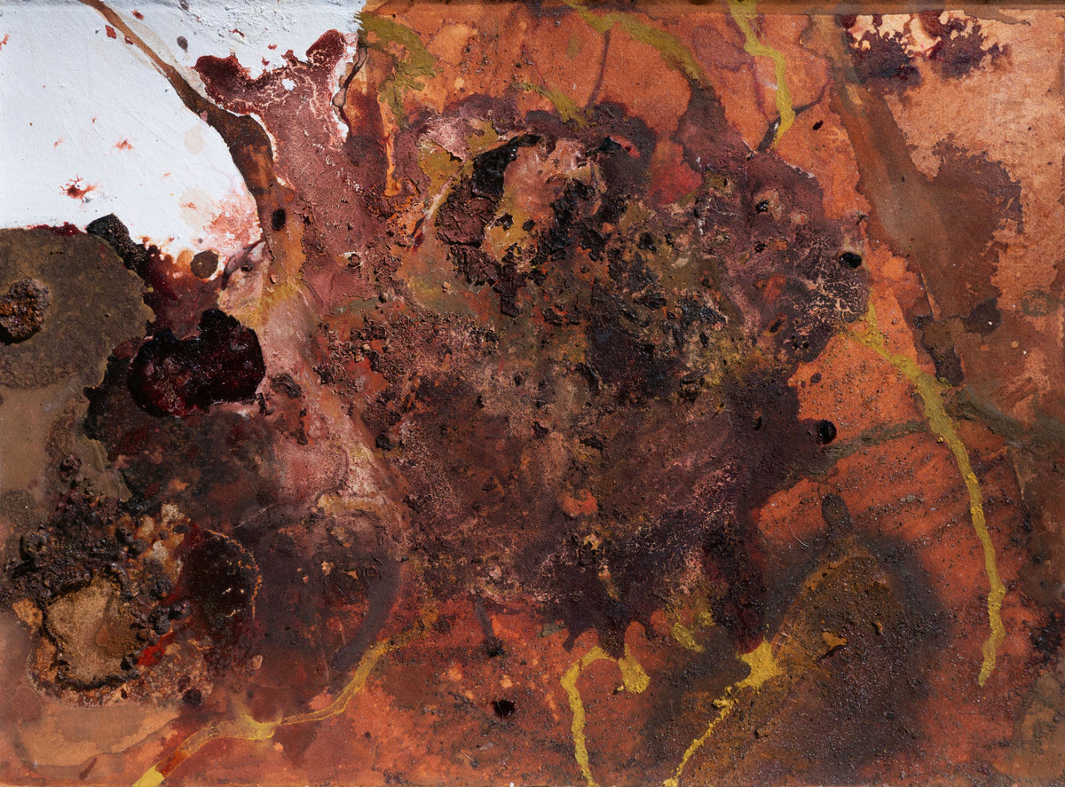 Sophie Cape 'Skin of Wild Beast'