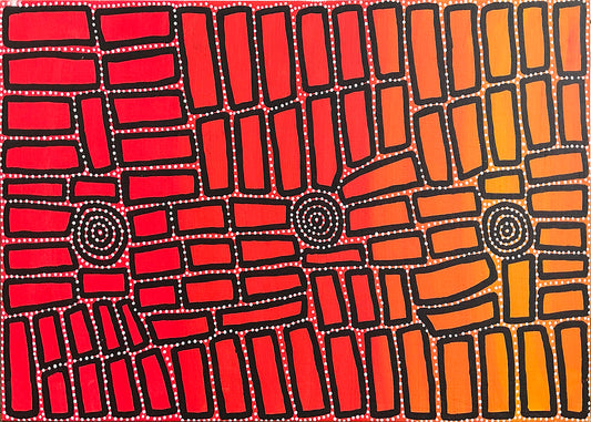 Walala Tjapaltjarri paintings - Art for Rent Brisbane 