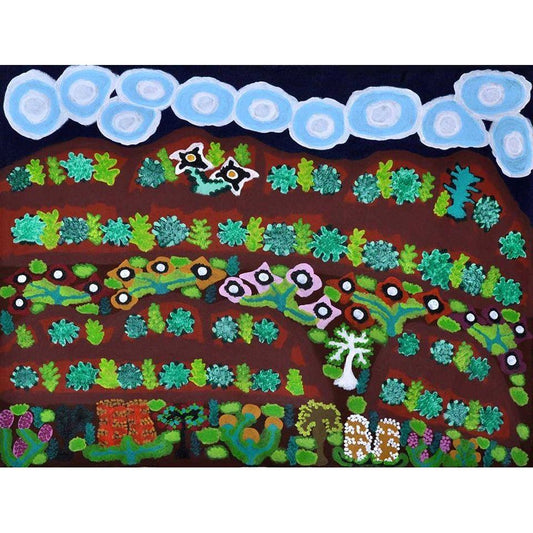 Daisy Jugadai Napaltjarri paintings  Mitchell Fine Art