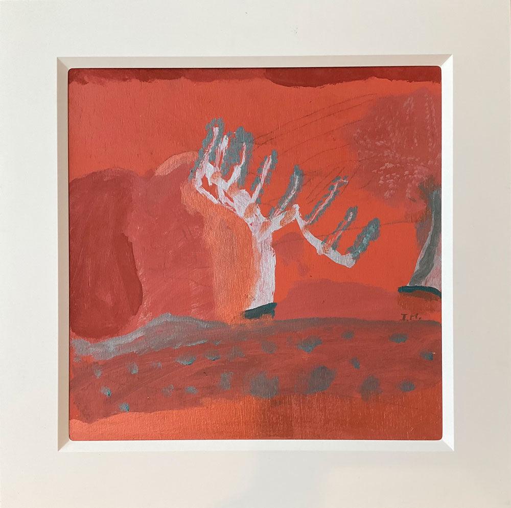 Idris Murphy | Fighting Tree, Fowlers Gap - Mitchell Fine Art