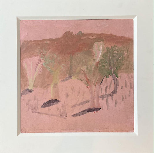 Idris Murphy paintings - Quiet Pink Shadows, Fowlers Gap - Mitchell Fine Art