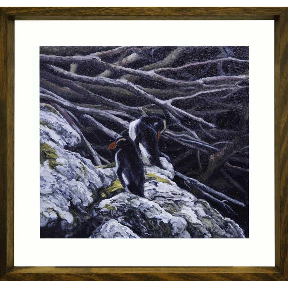 Kim Wilson | Snares Penguins - Mitchell Fine Art