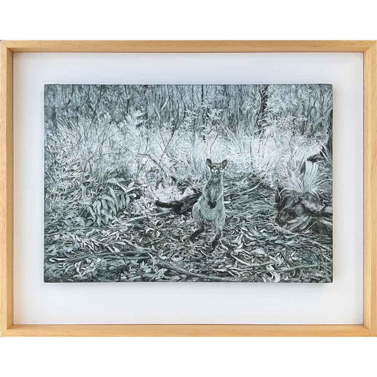Swamp Wallaby I - Mitchell Fine Art