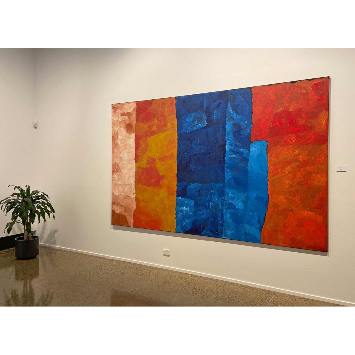 Kudditji Kngwarreye, My Country A5608 - Mitchell Fine Art 