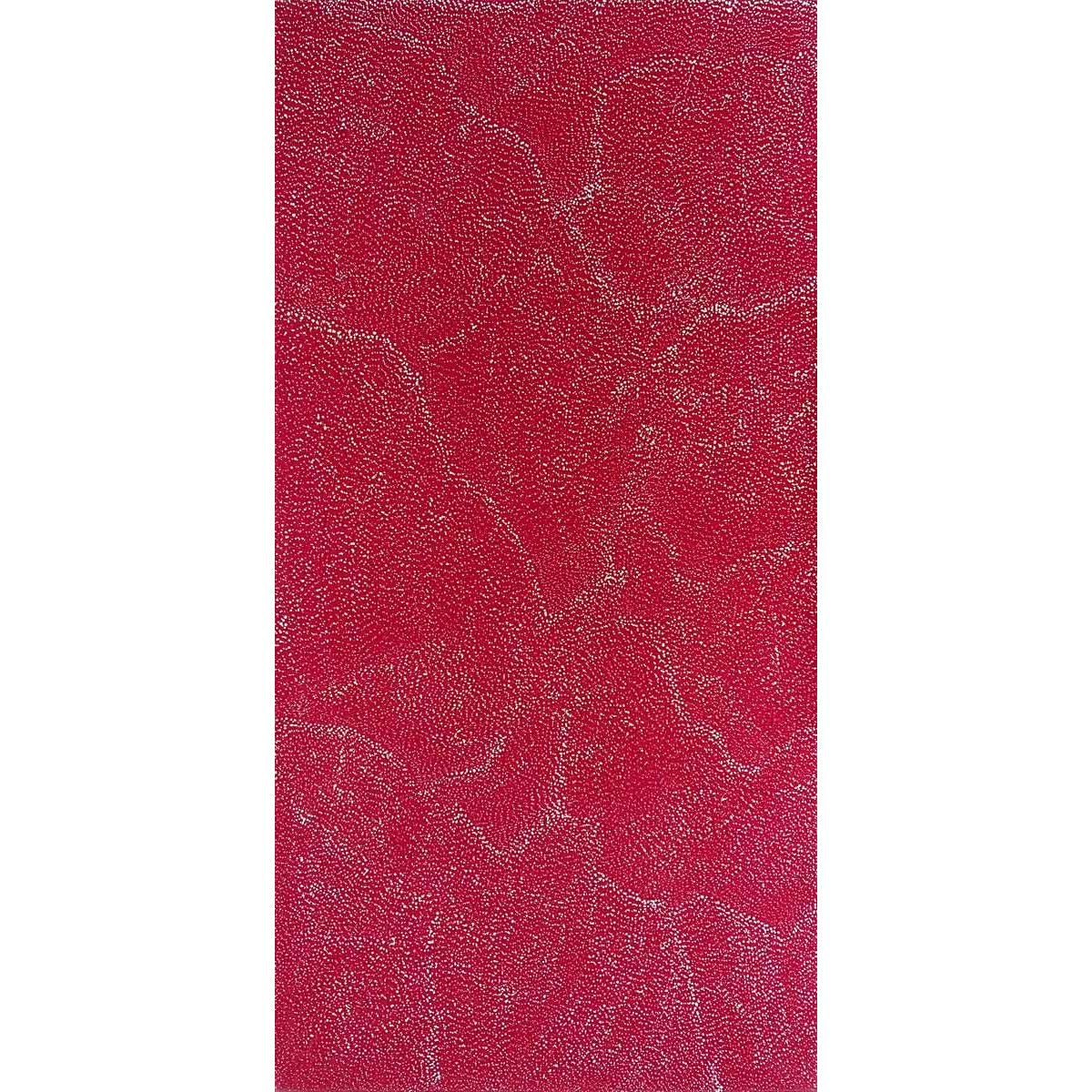 Lily Kelly Napangardi paintings - Mitchell Fine Art