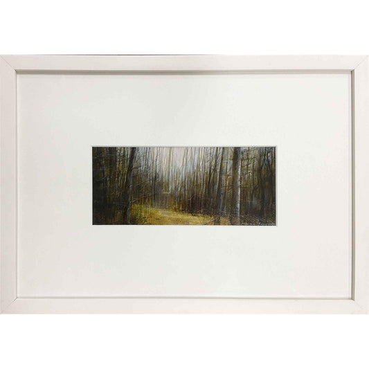 Looking into Forest - Mitchell Fine Art