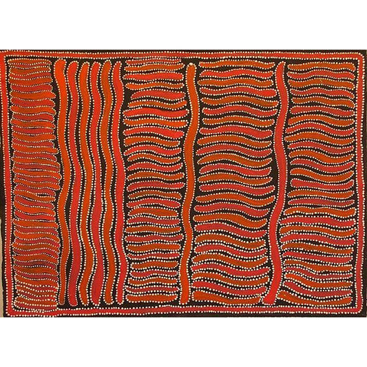 Nancy Kunoth Petyarre paintings - Brisbane Art gallery