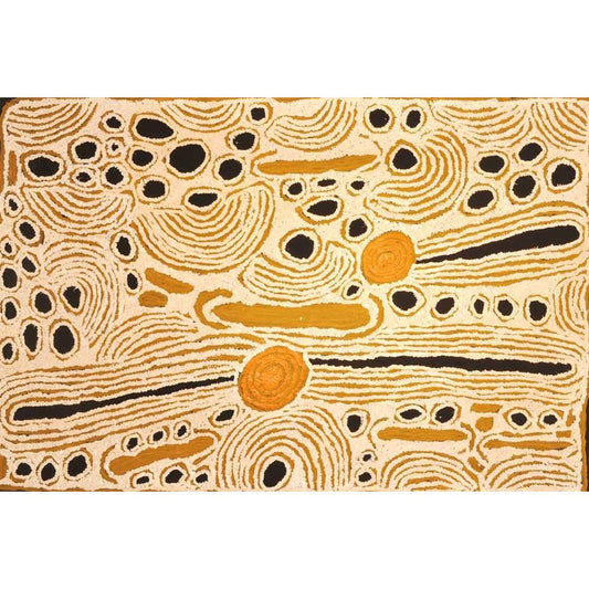 Ningura Napurrula | Wirrulnga A11100 - Mitchell Fine Art