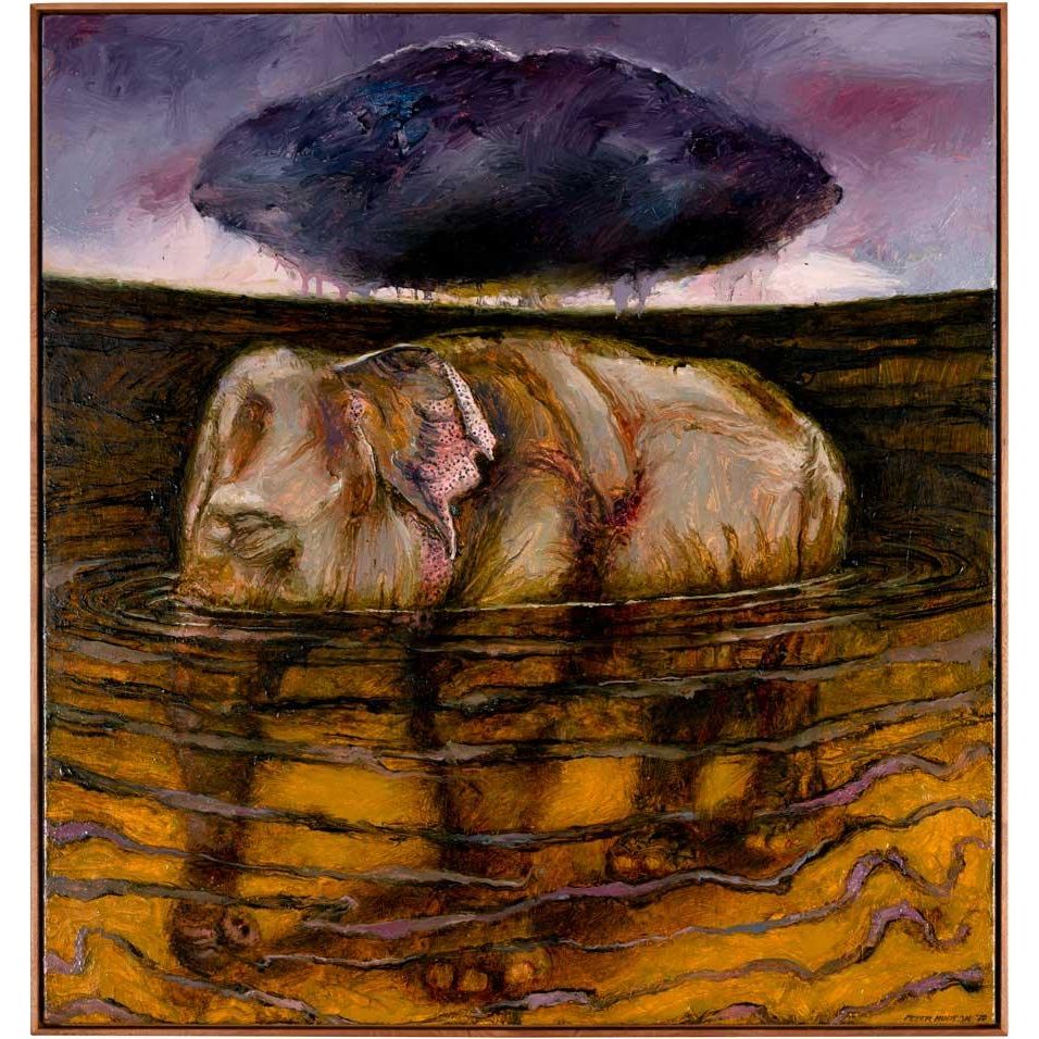 Peter Hudson | Elephant with Dark Cloud - Mitchell Fine Art
