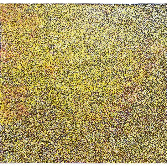 Polly Ngale paintings 'Anwekety (Bush Plum)' A14781 - 120x120cm