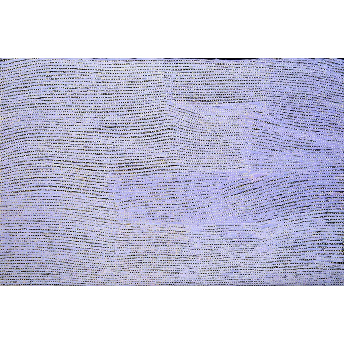 Willy Tjungurrayi | Kaakuratintja (Lake McDonald) A12295 - Mitchell Fine Art